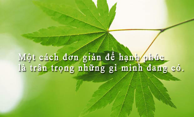 Một cách đơn giản để hạnh phúc là trân trọng những gì mình đang có