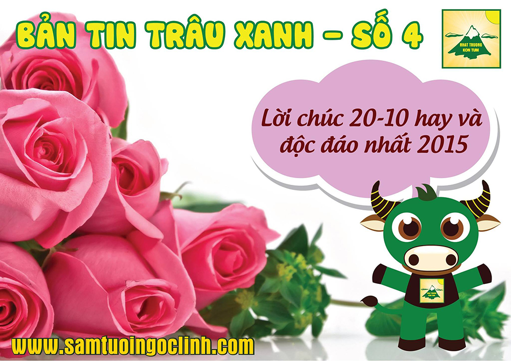 bản tin trâu xanh 