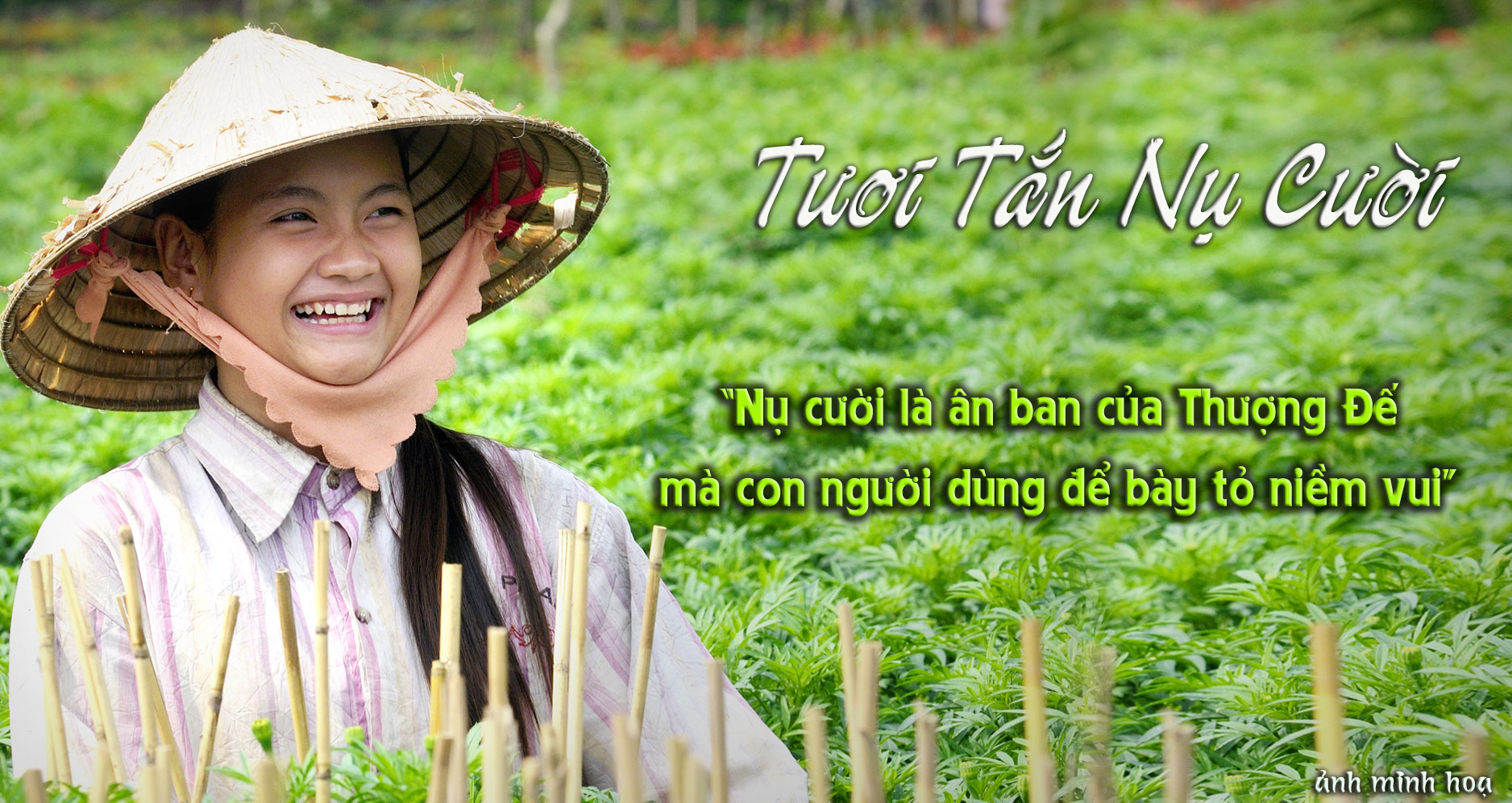 nụ cười tươi tắn