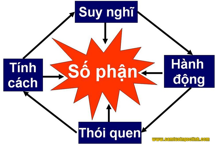 số phận con người