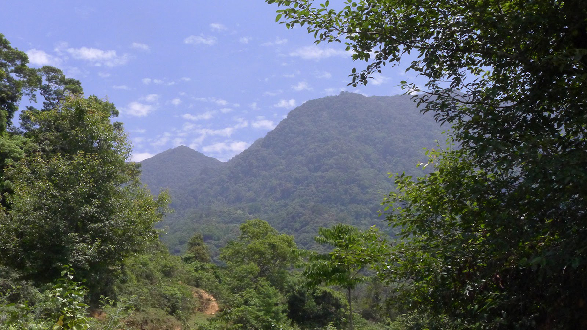 núi ngọc linh