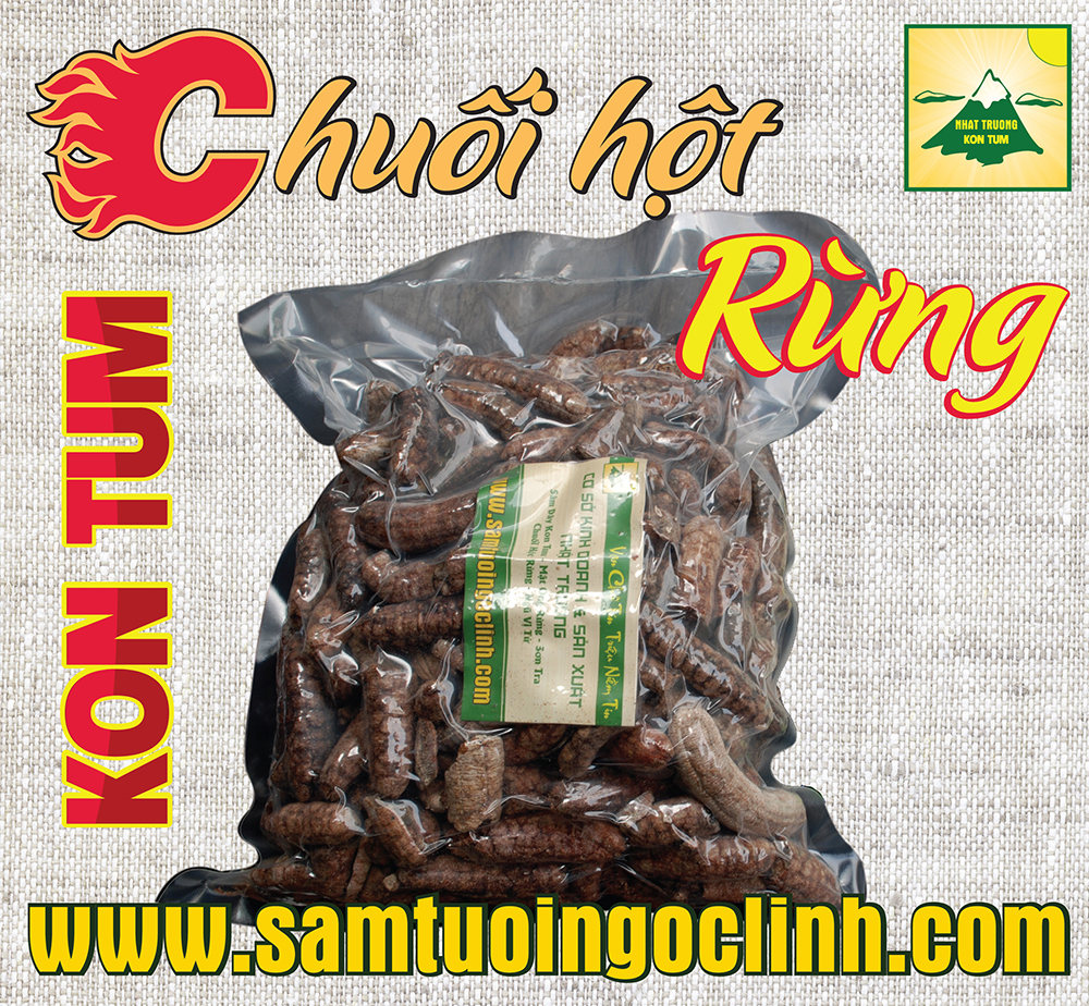 Chuối hột rừng Kon Tum