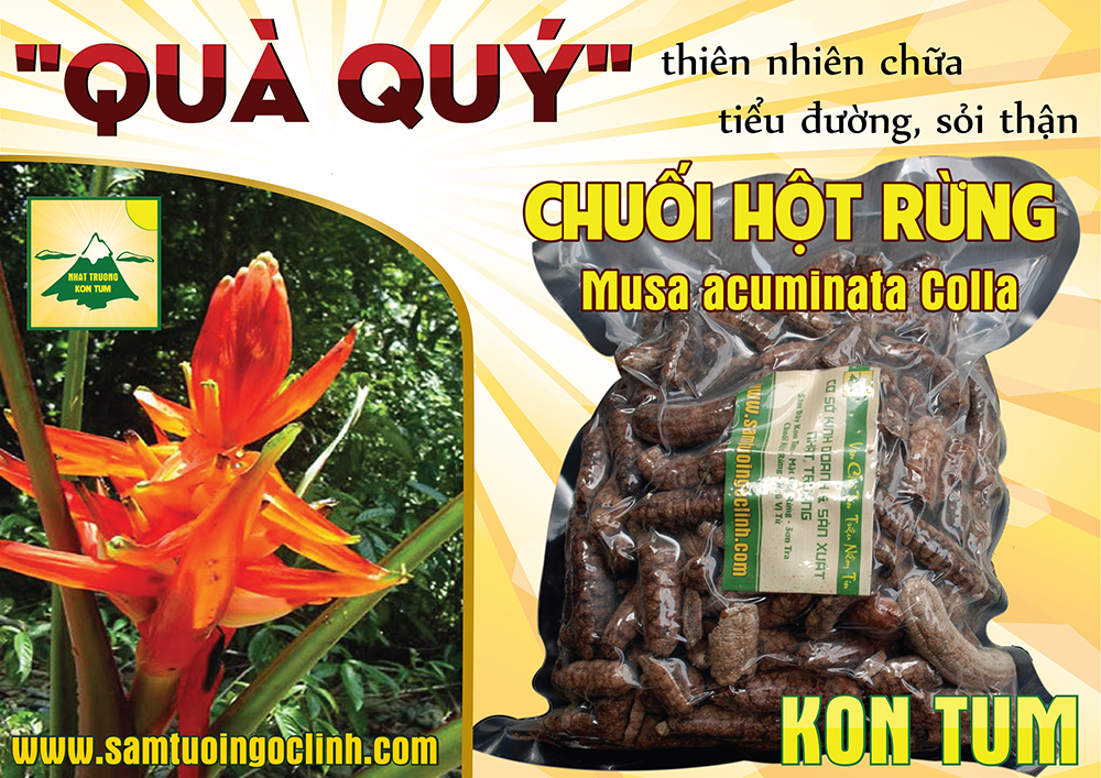 chuối hột rừng