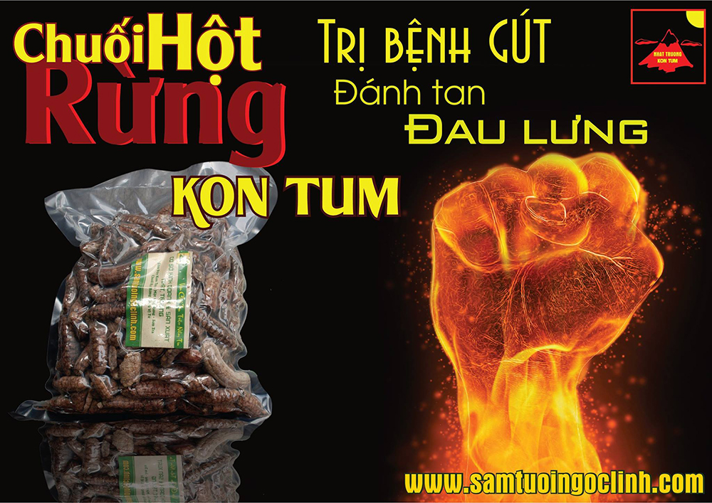 chuối hột rừng