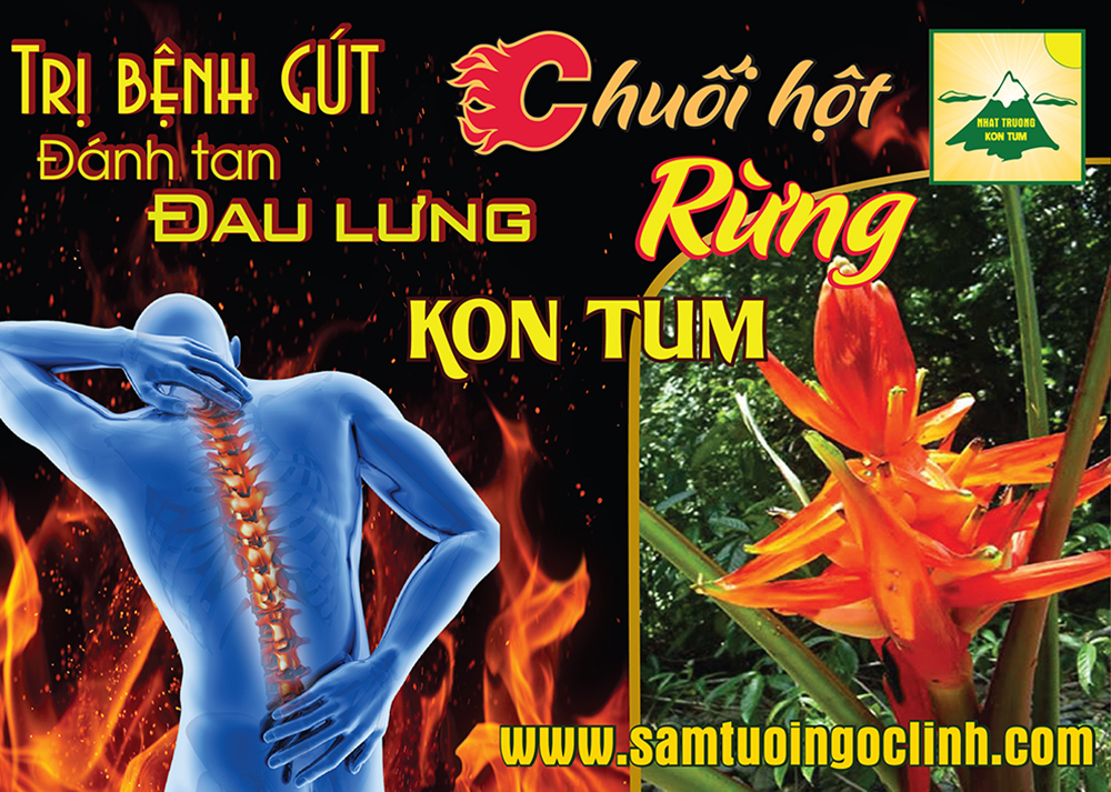 chuối hột rừng