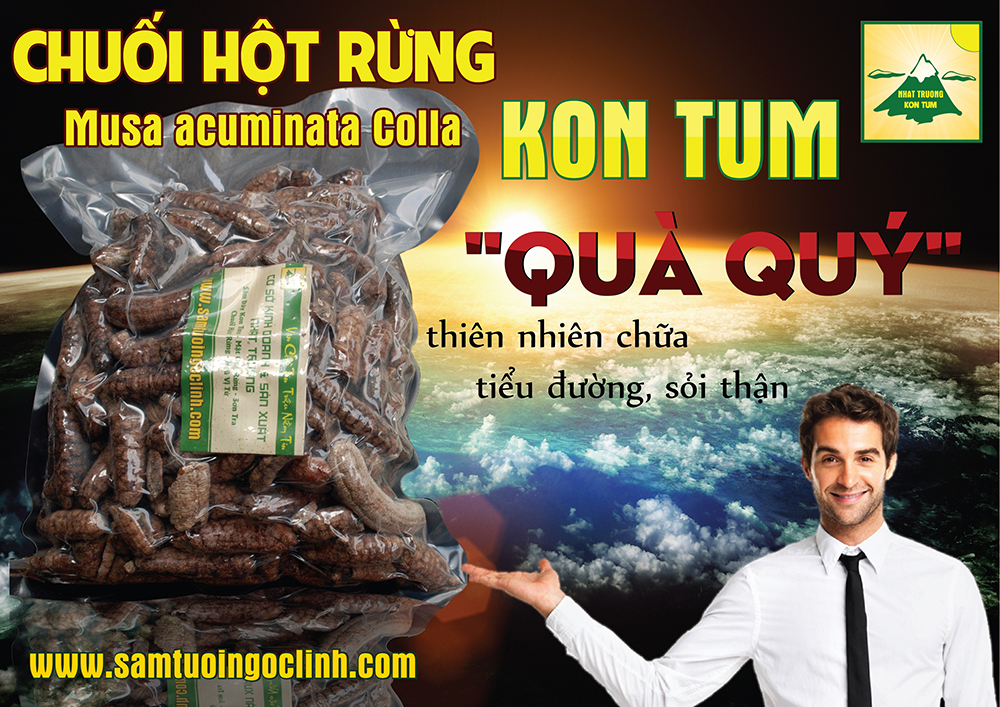 Chuối hột rừng được lấy tại rừng Tu Mơ Rông Kon Tum, quả chuối nhỏ, nhiều hạt, hạt mẩy