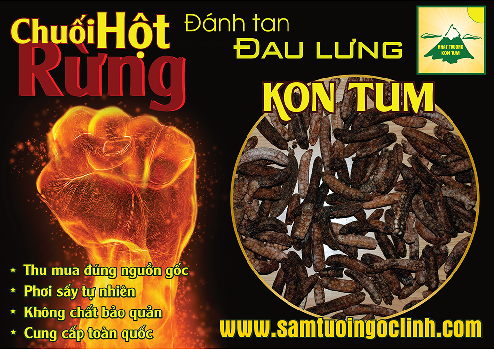 chuối hột rừng