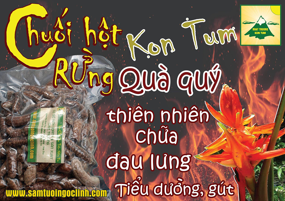 chuối hột rừng