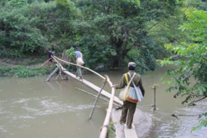 Săn mật ong rừng ở miền Tây ở Nghệ An