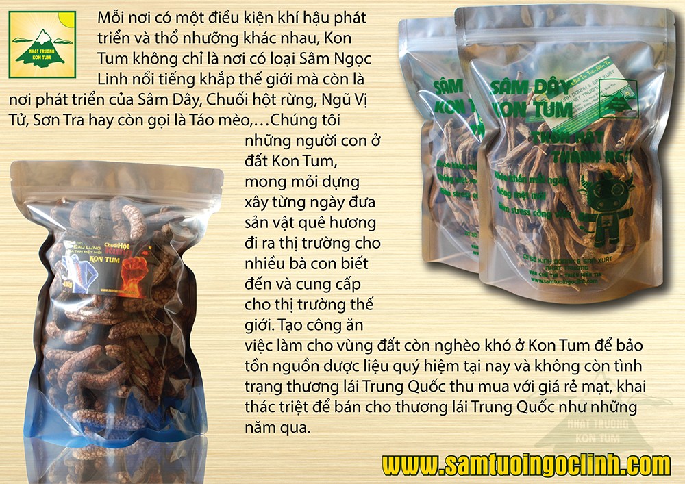 chuối hột rừng (6)