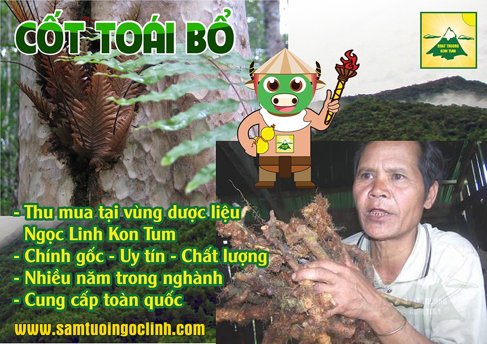 cốt toái bổ tắc kè đá kon tum nhật trường (3)