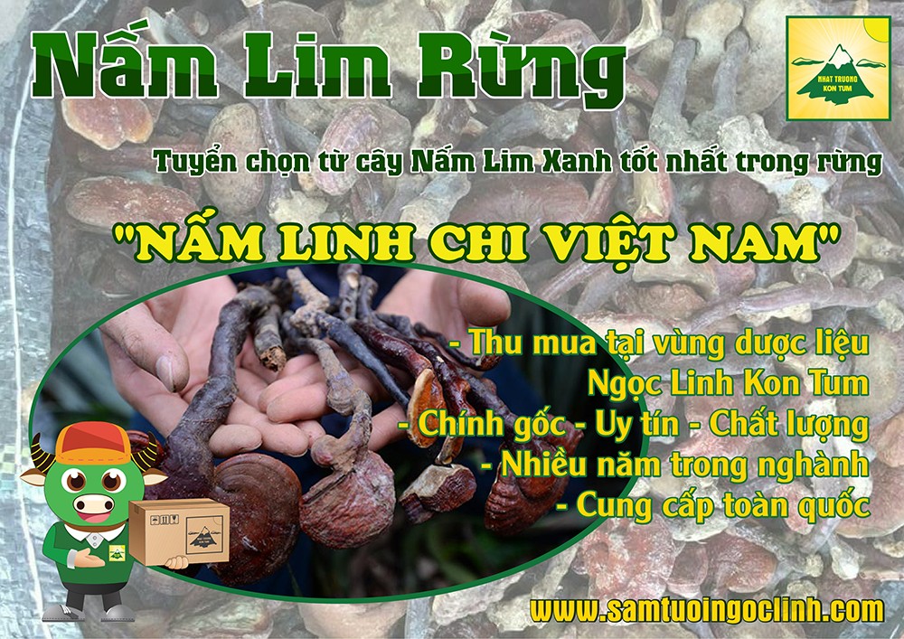 nam linh xanh rung kon tum nhat truong 3