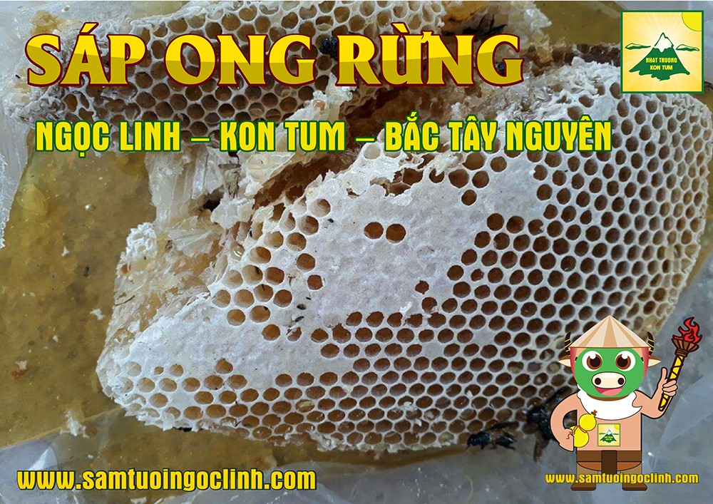 sáp ong rừng tu mơ rông kon tum (2)