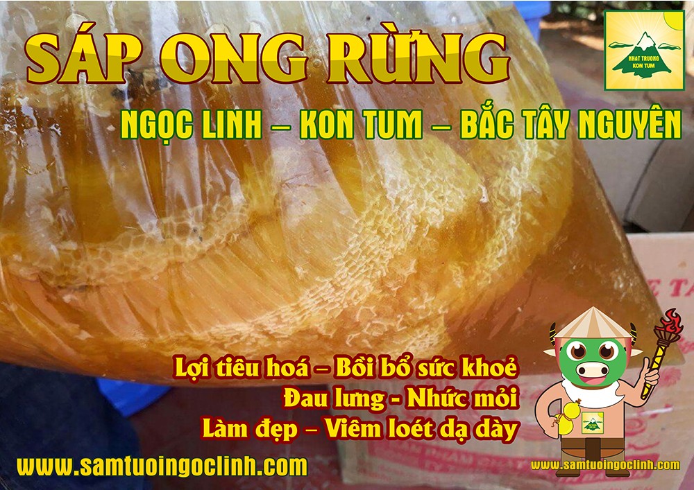 sáp ong rừng tu mơ rông kon tum (3)