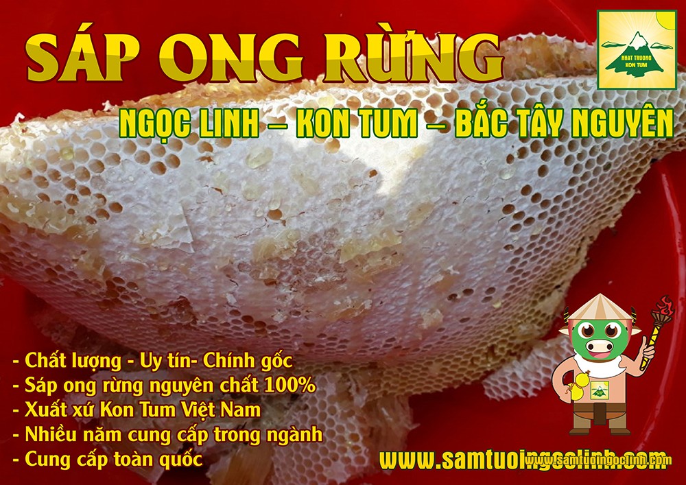 sáp ong rừng tu mơ rông kon tum (4)