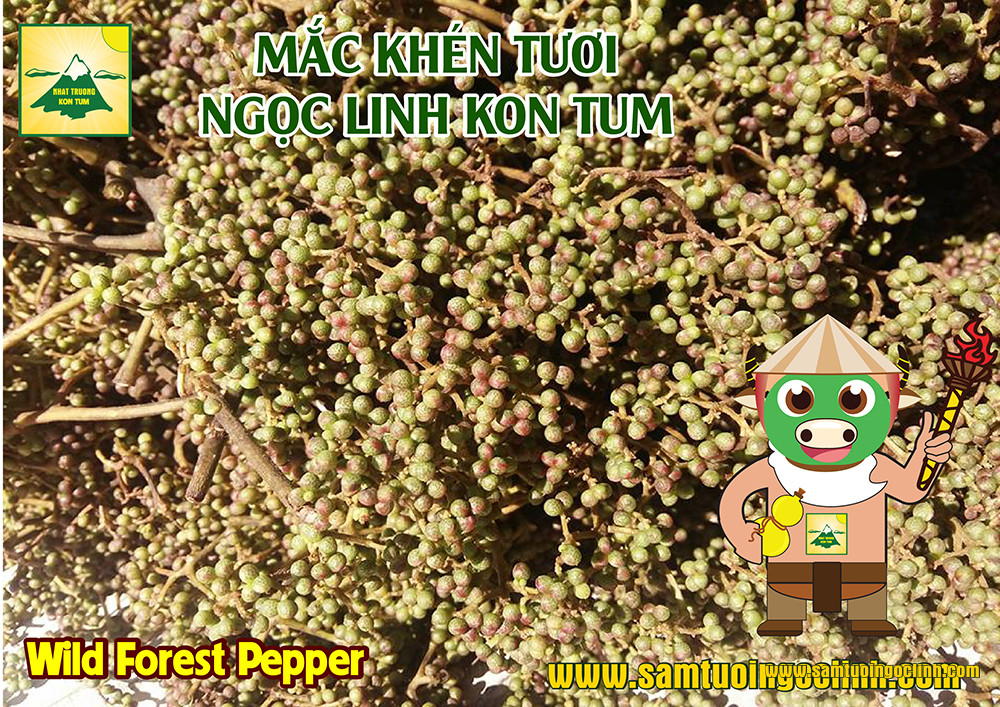 mắc khén ngọc linh kon tum (2)