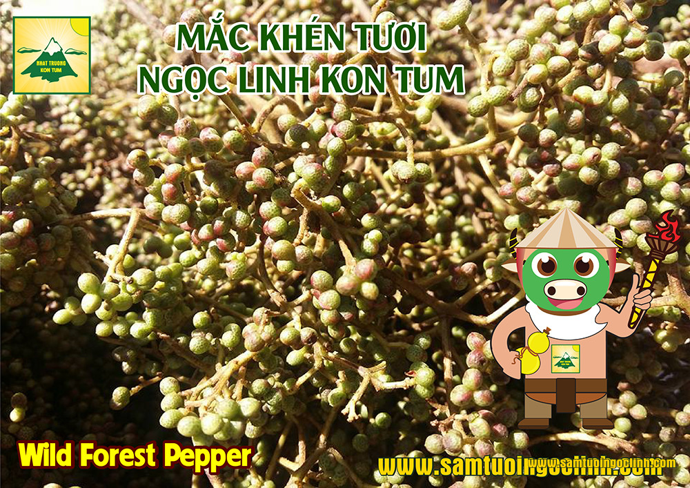 mắc khén ngọc linh kon tum (3)