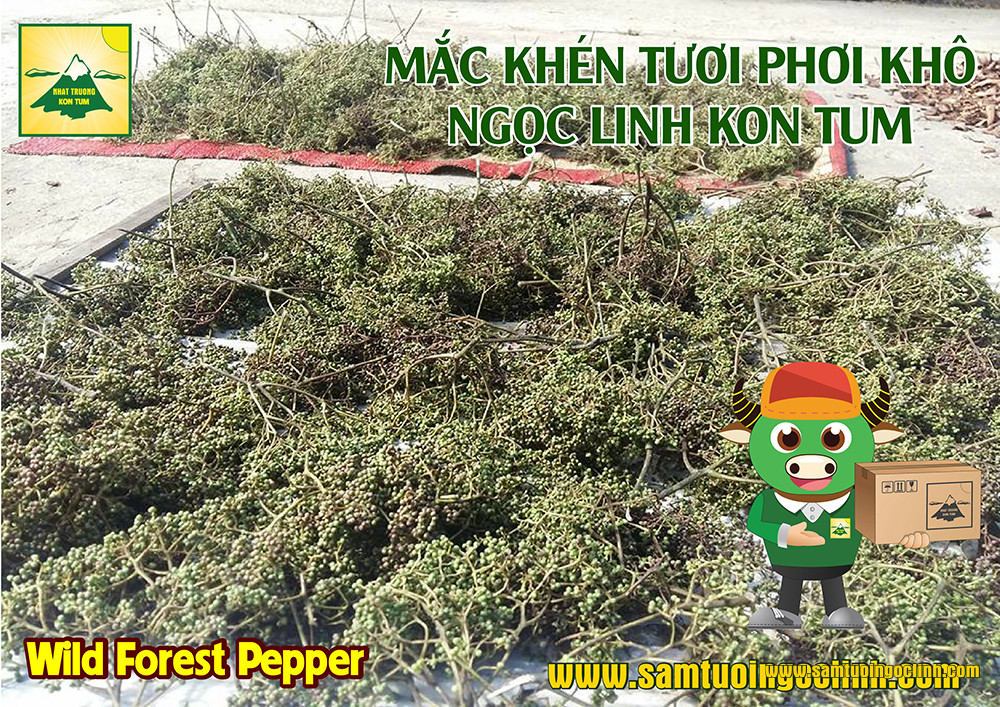 mắc khén ngọc linh kon tum (5)