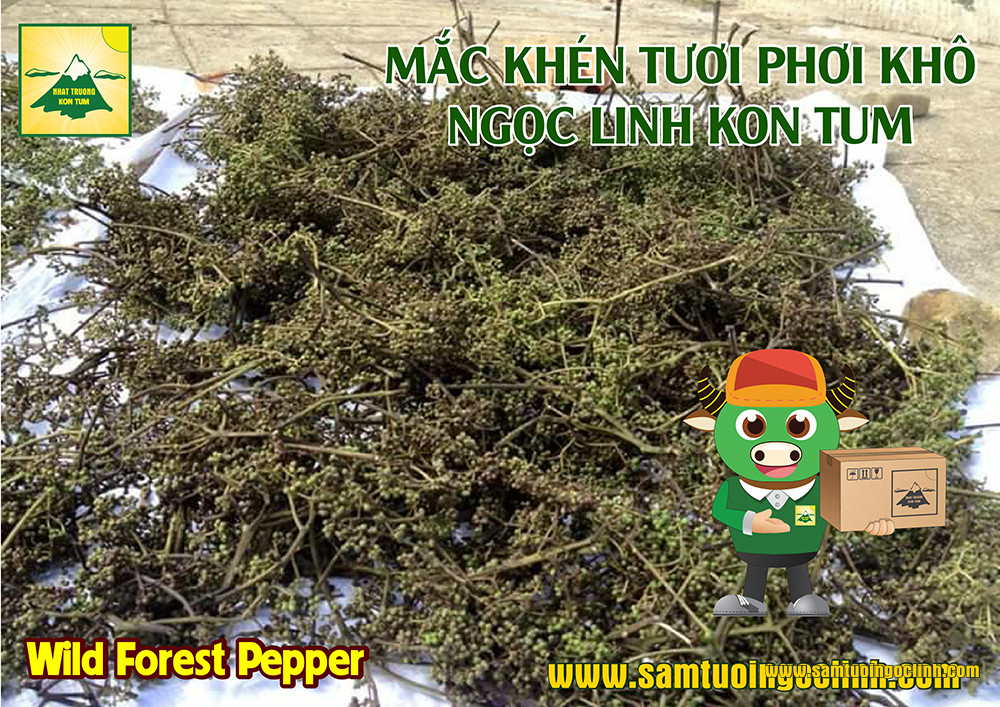 mắc khén ngọc linh kon tum (7)