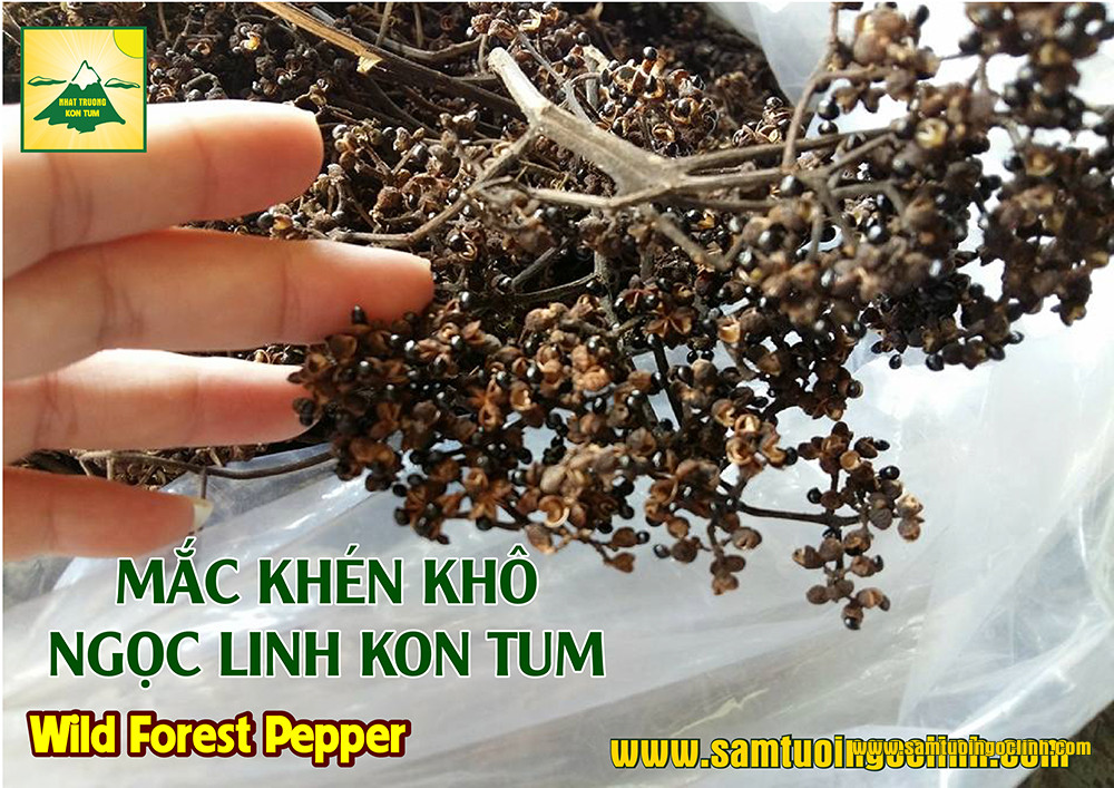 mắc khén ngọc linh kon tum (8)