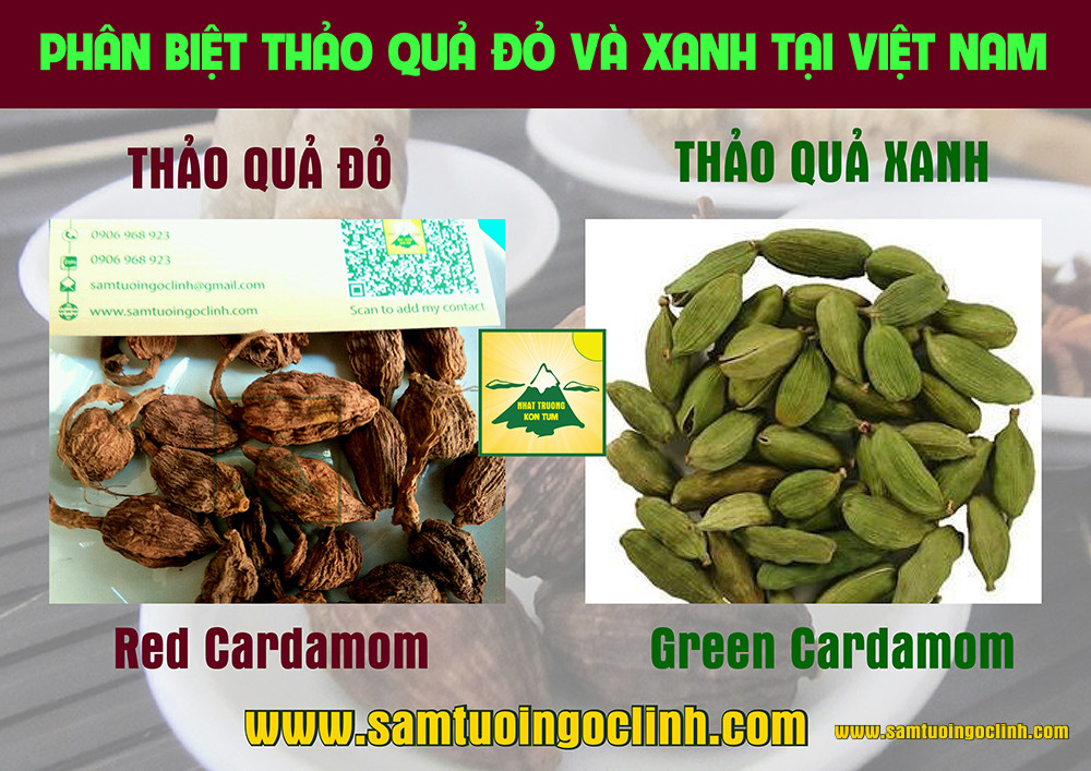 Loại thảo quả nào là tốt trên thị trường