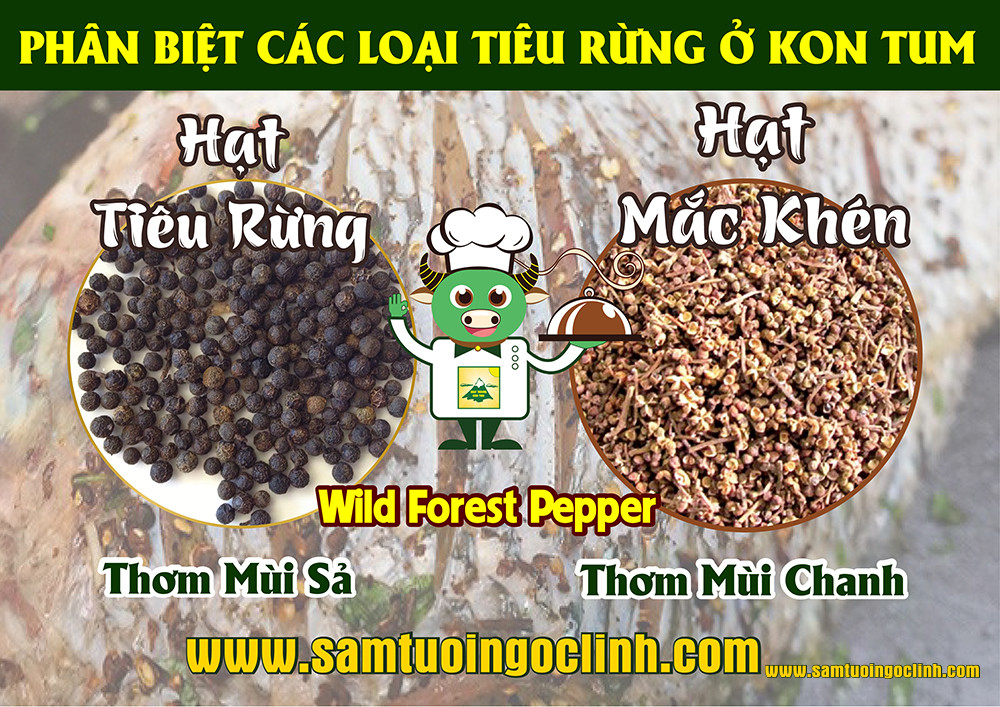 Tiêu rừng có hai loại tại tỉnh Kon Tum với hương vị lạ khiến du khách mê mẩn