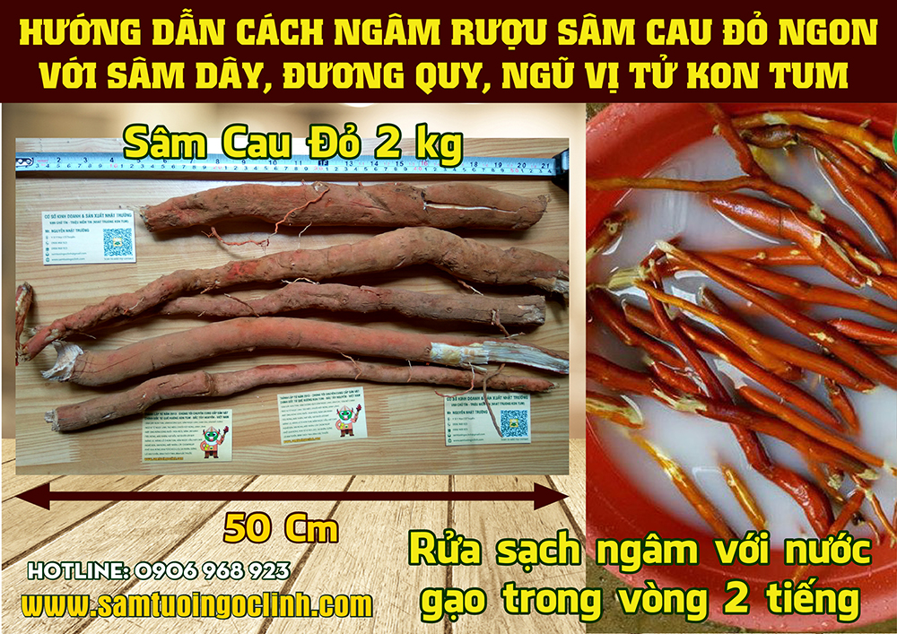 ngâm rượu sâm cau (2)