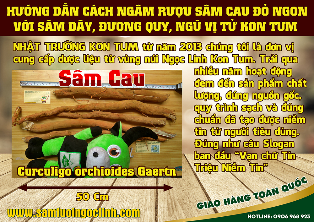 ngâm rượu sâm cau (3)