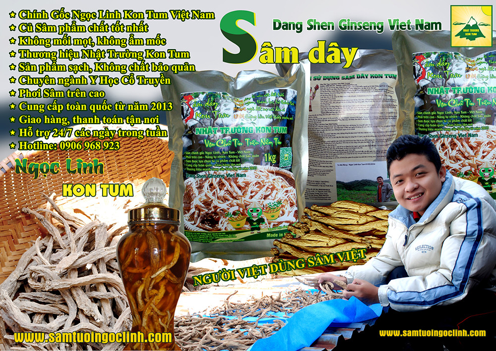 sâm dây đảng sâm là gì ngọc linh kon tum (6)