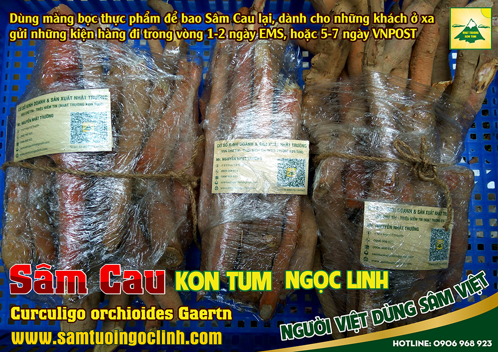 cách chế biến sâm cau để ngâm rượu (9)