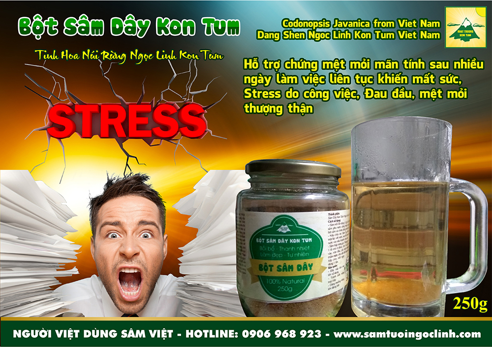 sâm dây đảng sâm mệt mỏi stress (1)