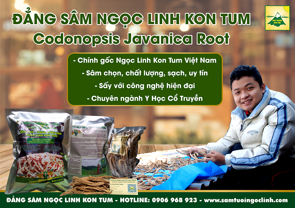 đẳng sâm ngọc linh kon tum nhật trường (3)