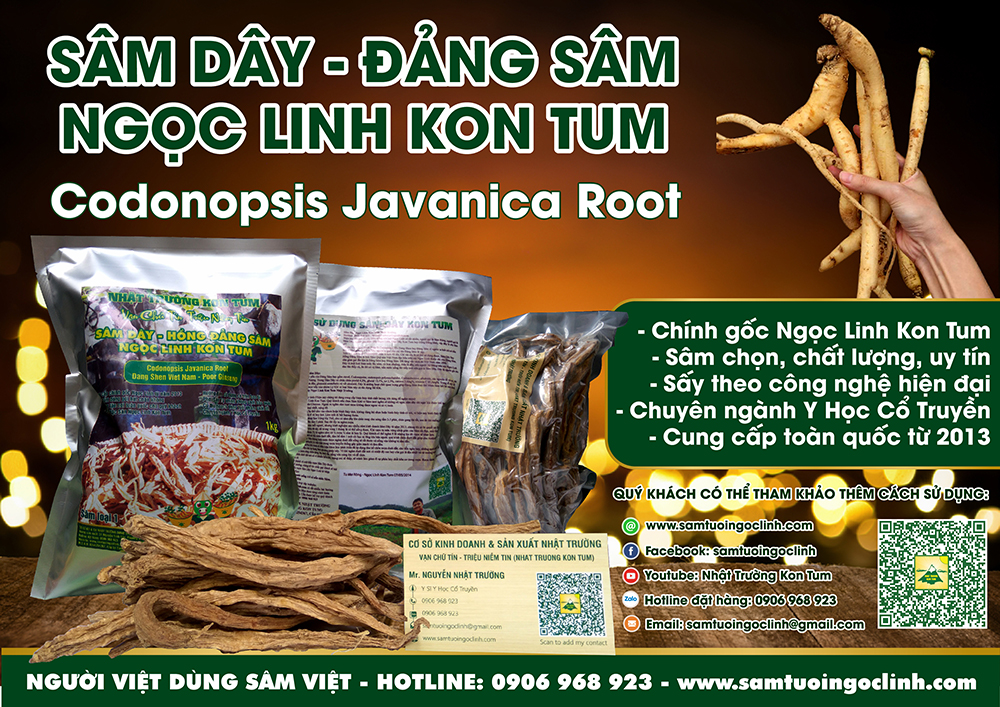 đảng sâm ngọc linh kon tum tu mơ rông (3)