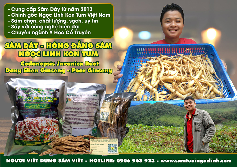 đẳng sâm ngọc linh kon tum