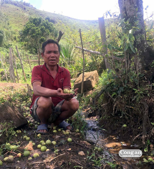 Người già kể rằng dòng nước luôn mang vị đắng dịu và trở thành thứ thuốc chữa bệnh, mang đến sinh lực và tuổi thọ cho con người ở vùng đất này