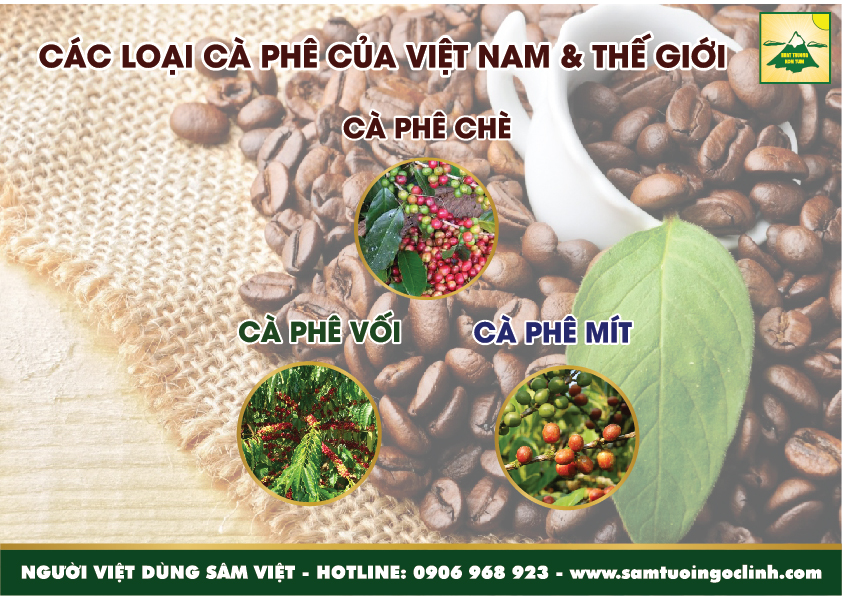 Vậy cà phê xứ lạnh là cà phê gì và tại sao gọi như thế