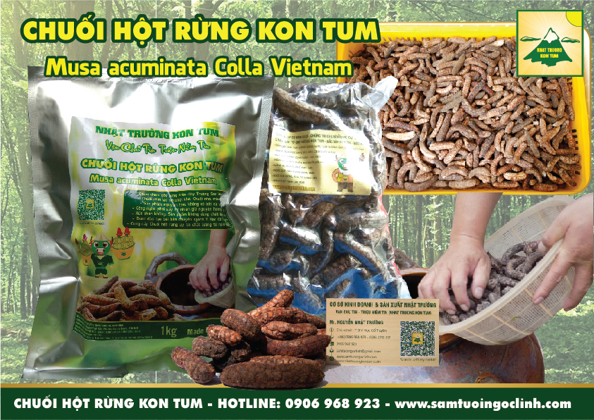 chuối hột rừng (3)