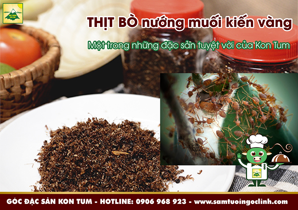 muối kiến vàng kon tum (2)