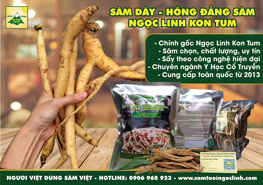 sâm dây ngọc linh kon tum hồng đẳng sâm nhật trường (2)