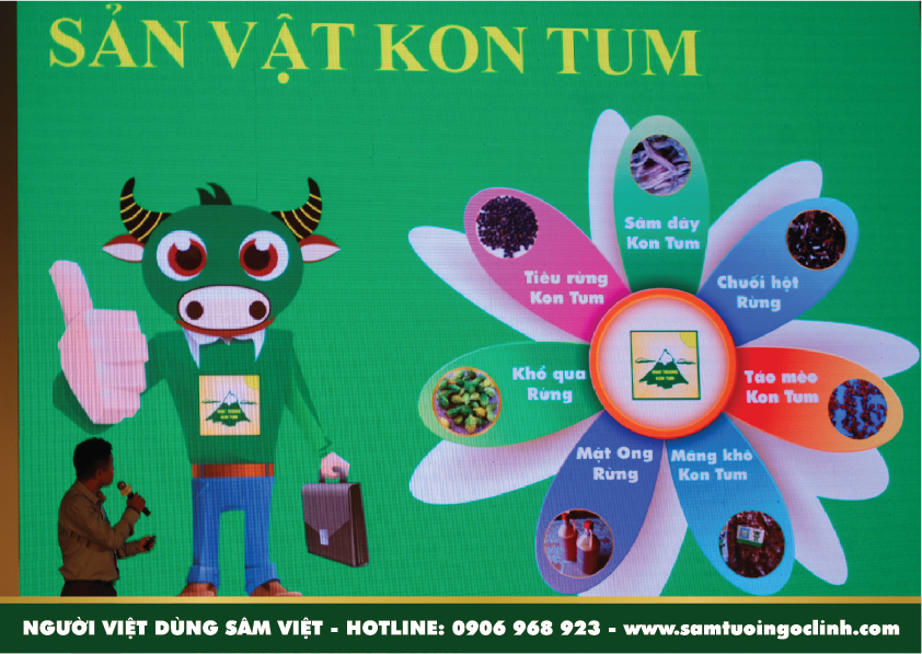 tứ đại danh dược đảng sâm (1)