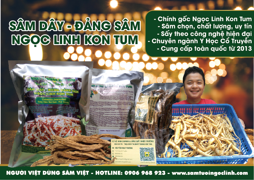 tứ đại danh dược đảng sâm (2)