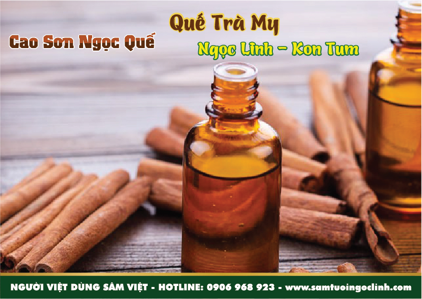 tứ đại danh dược quế trà my (2)